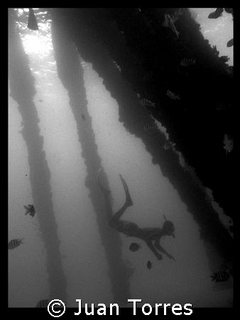 B & W of snorkeler in Crash Boats Piers, Puerto Rico by Juan Torres 