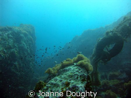Chumpon Pinnacle, Koh Tao, Thailand by Joanne Doughty 
