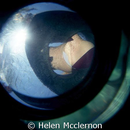. by Helen Mcclernon 