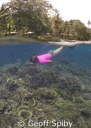 taken at the lovely little Kungkungan bay Resort, Lembeh ... by Geoff Spiby 