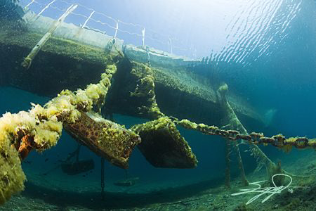 Under the platform by Nicholas Samaras 