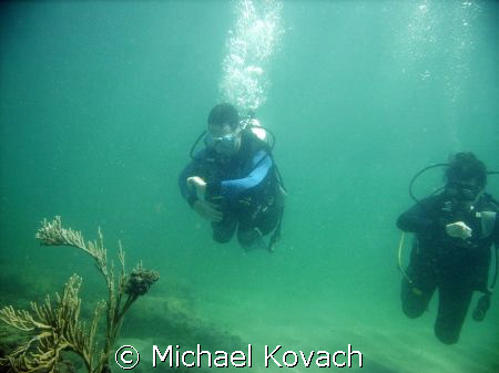 Open Water Divers navigating the inside reef at Lauderdal... by Michael Kovach 