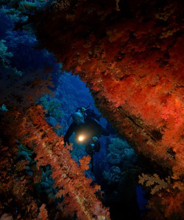 Alec on the Numidia, Brother Islands, Egypt. by Dray Van Beeck 