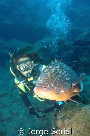 The grouper "Socks" with Maryfer. by Jorge Sorial 