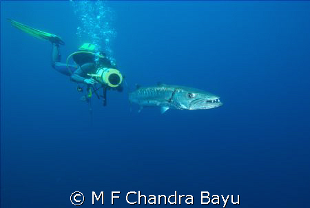 Baraccuda - Liberty, Tulamben by M F Chandra Bayu 