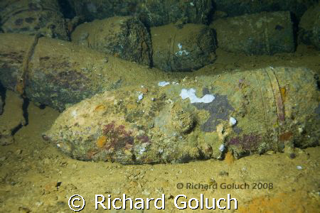 14" shells-Yamagiri Maru-Chuuk-Canon 5D 17-40mm by Richard Goluch 