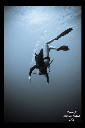 Pure Joy.....
Jessica -
Little Cayman  by Neil Van Niekerk 
