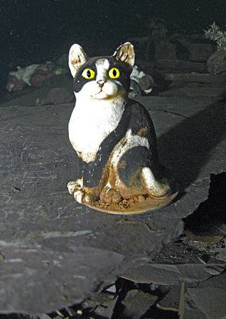 What's new?
Vivian slate quarry, N. Wales.
10.5mm. by Mark Thomas 