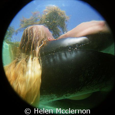 . by Helen Mcclernon 
