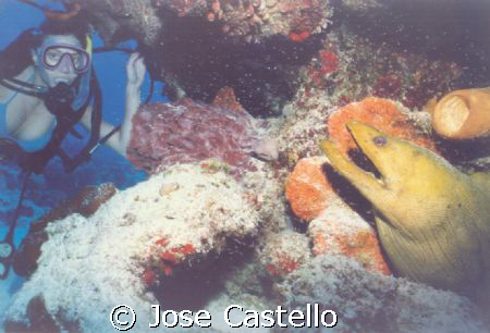 I like to call it the beauty and the beast, it is a green... by Jose Castello 
