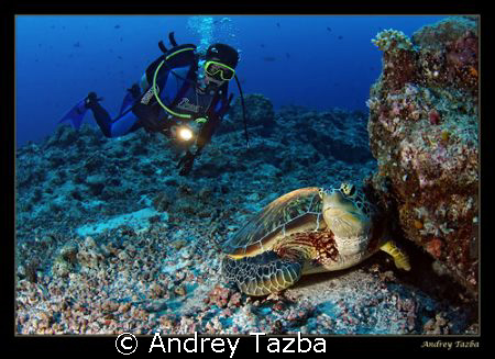 Blue corner. Palau. by Andrey Tazba 