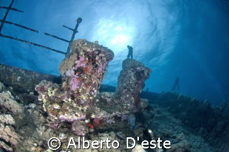 Umbria Wrecks in Sudan by Alberto D'este 