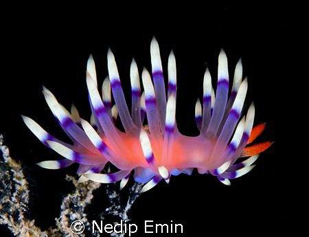 looks like from out of space.... a picture of a very wond... by Nedip Emin 