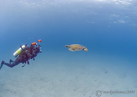 Mr H in action - photographing the turtle shown in his la... by Mark Thomas 