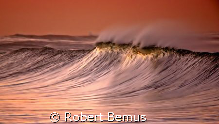 First Light/Canon 5D/Tamron 200-500mm lens/panned/Shot on... by Robert Bemus 