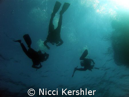 Coming up. Magic Point NSW by Nicci Kershler 