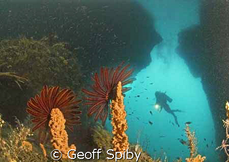 looking out from a cave into "The Passage", a marine "riv... by Geoff Spiby 