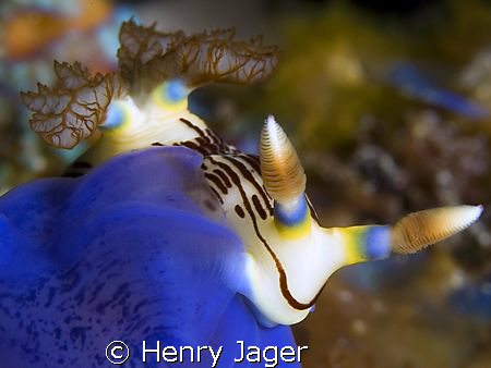 "Eat with a smile" Raja Ampat, West Papua by Henry Jager 