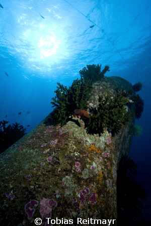 Amazing morning dive, "why become an astronaut", Boulder ... by Tobias Reitmayr 