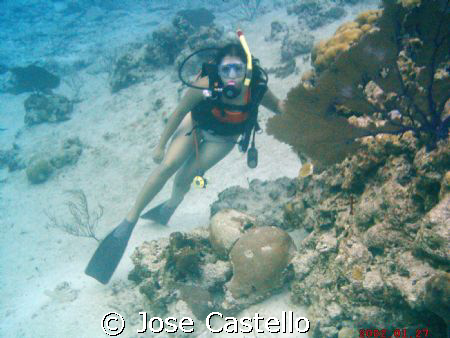 her first dive after her certification she really enjoy t... by Jose Castello 