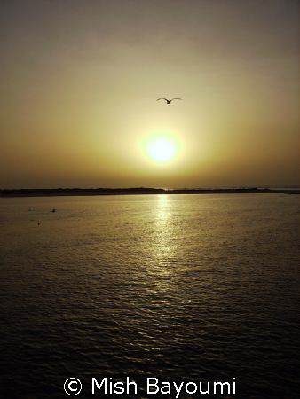 Sunset over Marmar island in the Farasan Banks.  by Mish Bayoumi 