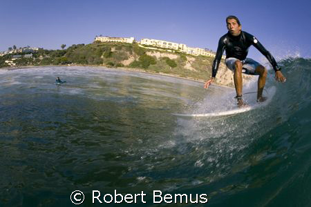 Wild eyd by Robert Bemus 