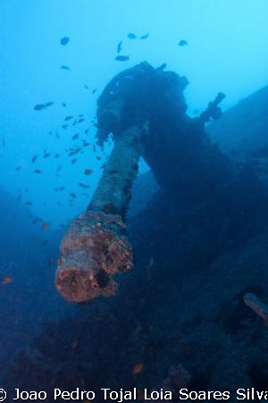 AA gun at the stern of the Thistlegorm. Shot using a Cano... by Joao Pedro Tojal Loia Soares Silva 