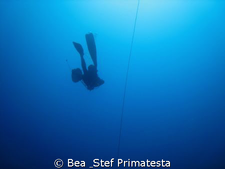 "To the Blue" by Bea & Stef Primatesta 