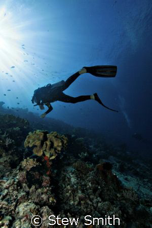 Bangka - Diver and sun burst.
10-22mm canon 350D full frame by Stew Smith 