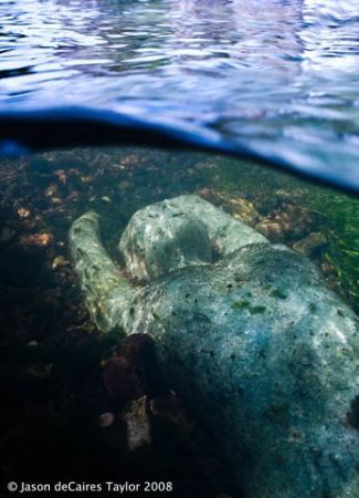 Glass underwater river sculpture called Alluvia in Canter... by Jason Decaires Taylor 
