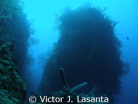 view of the pinnacle of Efra wall dive site at parguera P... by Victor J. Lasanta 