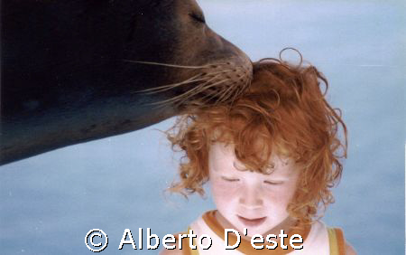 Carlotta & sea lion by Alberto D'este 