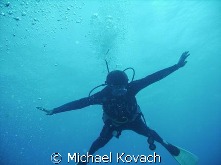 Diver descending onto the inside reef at Lauderdale by th... by Michael Kovach 