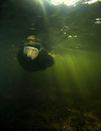 Snorkeling and diving in river Kamenice in the northern B... by Alena Vorackova 