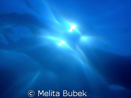 Looking for the Sun...f8, 1/800s by Melita Bubek 