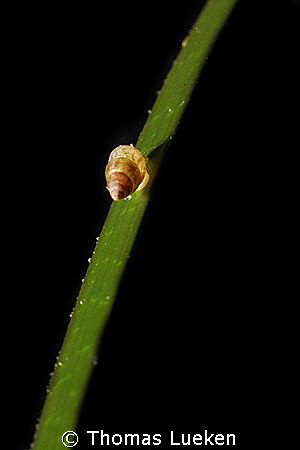 found at Strande, D200 by Thomas Lueken 