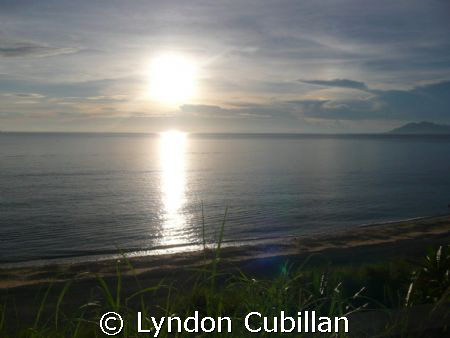 Sea  Grass by Lyndon Cubillan 