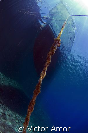 A chain to the sky by Victor Amor 