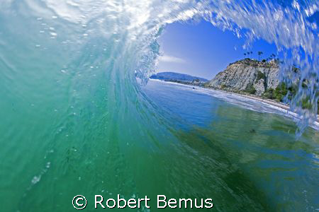 Summer shade...shot 7/5/08...not a re-submit... by Robert Bemus 