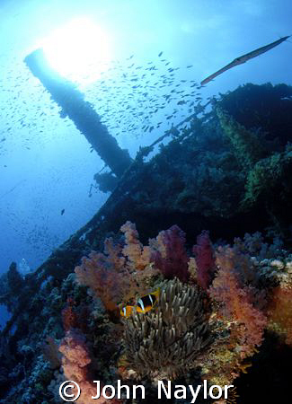 wreck of Aida. Big Brother. by John Naylor 