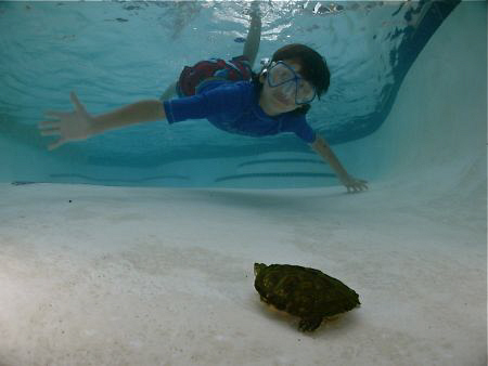 Just trying out my new Canon G9 with Patima housing in my... by Juan Torres 