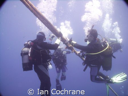 The deco stop, waiting around just before the final few m... by Ian Cochrane 