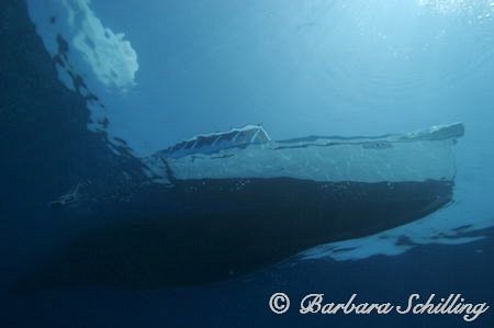 The end of a another nice dive ... returning to the dive ... by Barbara Schilling 