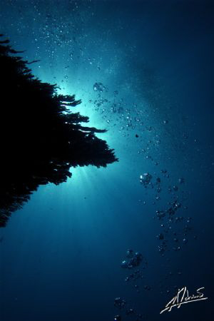 another personal favorite! I love sunbursts... by Adriano Trapani 