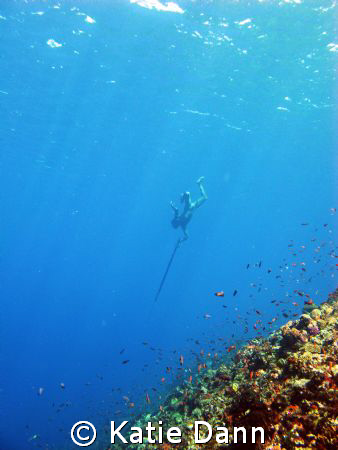 Local spear fisherman hunting in Komodo, taken with Canon G9 by Katie Dann 