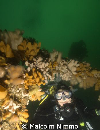 A shot taken on the port side of the Thesis in the Sound ... by Malcolm Nimmo 