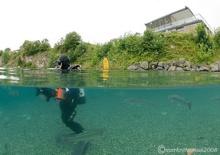 Before the rush.
Capernwray, July 08.
10.5mm. by Mark Thomas 