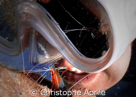 why go to the dentist when you can get a free dental care... by Christophe Aprile 