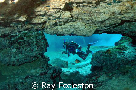 Taken at Ginnie Springs, FL.Camera Nikon D-200 by Ray Eccleston 