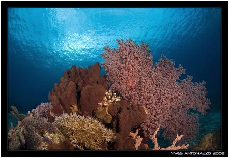  My new found love for wide angle photography since I'm u... by Yves Antoniazzo 